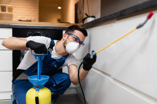 Best Residential Pest Control  in Semmes, AL