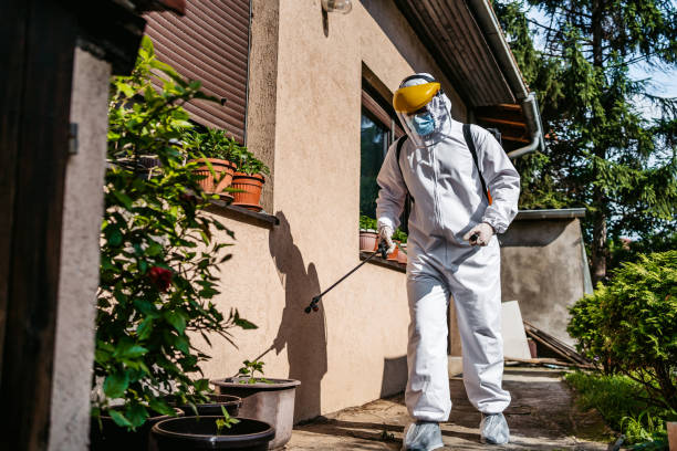 Best Termite Control Services  in Semmes, AL