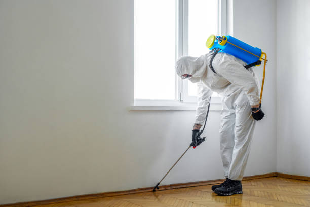 Best Mosquito Control Services  in Semmes, AL