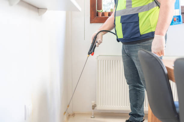 Best Local Pest Control Services  in Semmes, AL