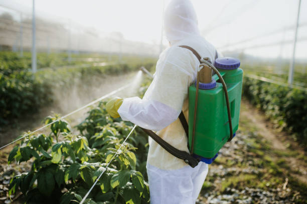 Reliable Semmes, AL Pest Control Solutions